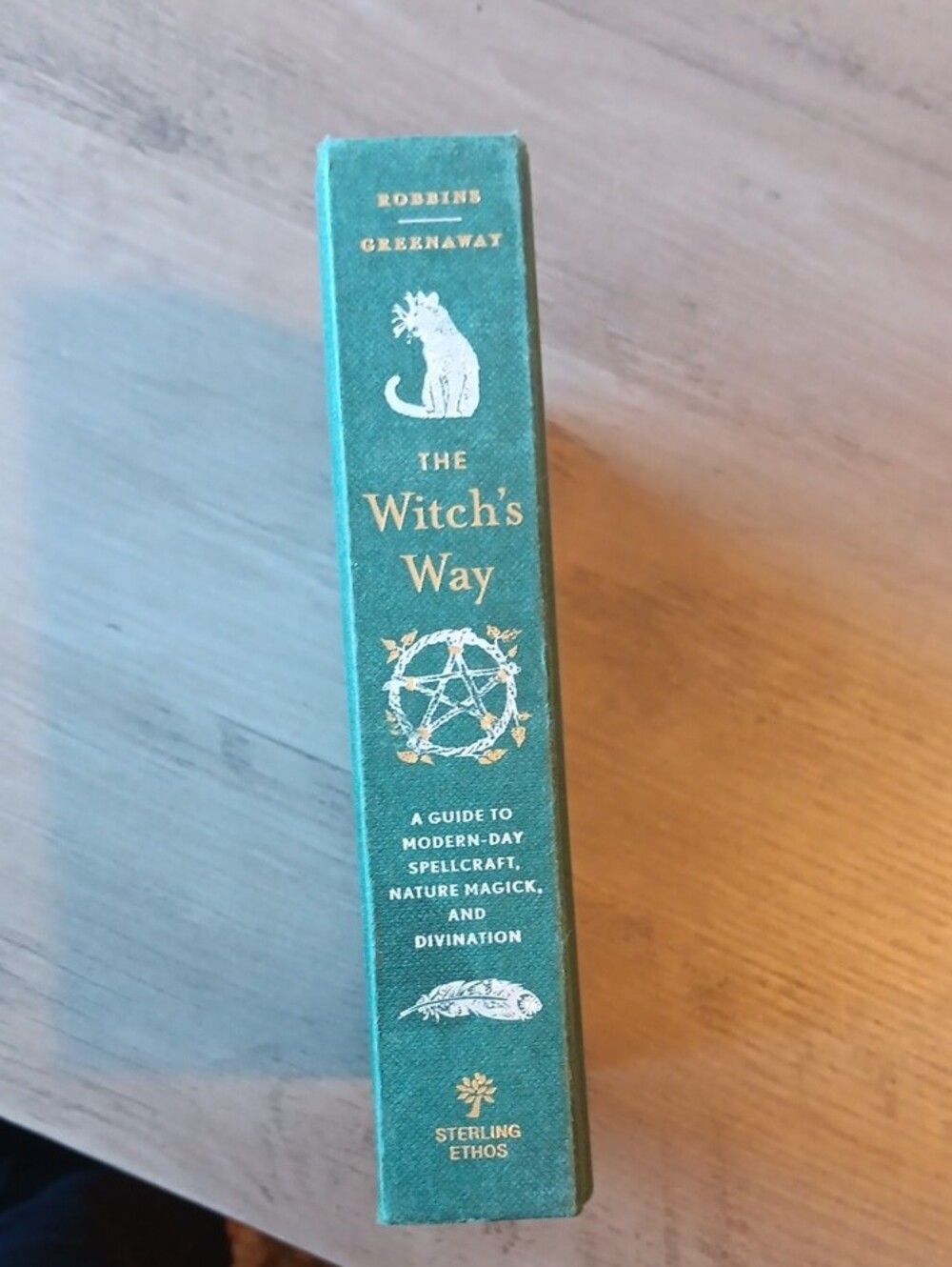 The Witch's Way Ritual Guidebook - Picture 3 of 5